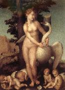 Andrea del Sarto Swan oil painting reproduction